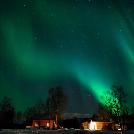100 Years Old Norwegian Log House In Feriehus *