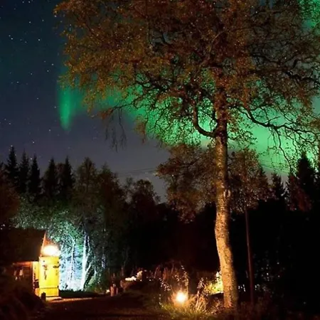 100 Years Old Norwegian Log House In *
