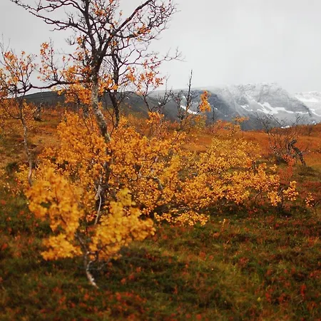 100 Years Old Norwegian Log House In Hébergement de vacances