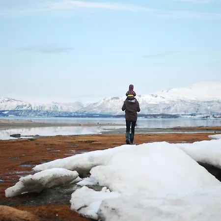 100 Years Old Norwegian Log House In 펜션 *