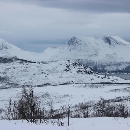 100 Years Old Norwegian Log House In Hébergement de vacances Tromsø
