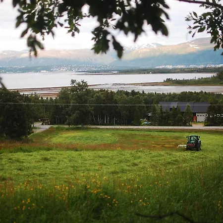 100 Years Old Norwegian Log House In