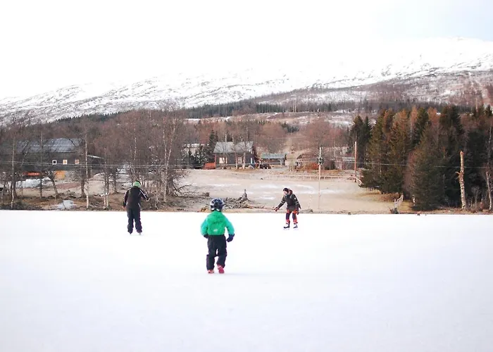 100 Years Old Norwegian Log House In Дом отдыха