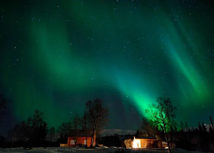 100 Years Old Norwegian Log House In Feriehus *