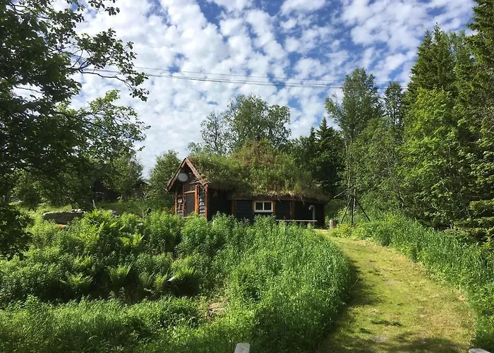 100 Years Old Norwegian Log House In Feriehus *