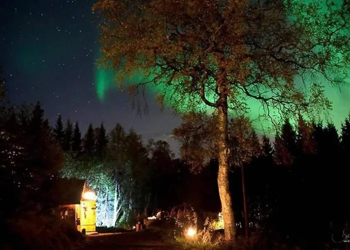 100 Years Old Norwegian Log House In *