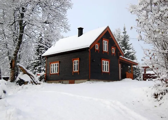 100 Years Old Norwegian Log House In