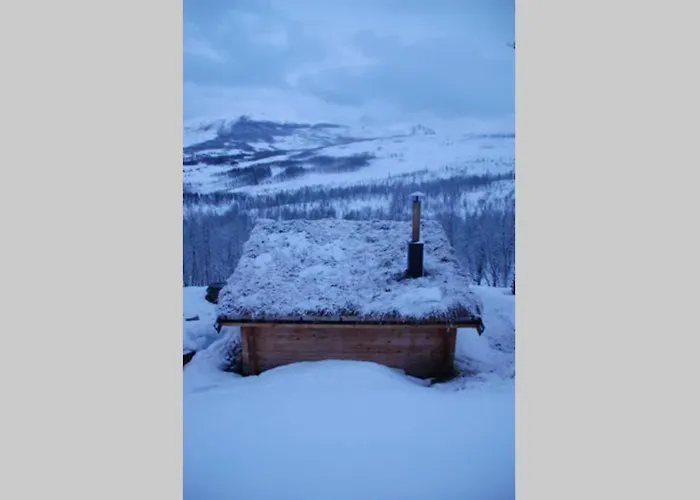 100 Years Old Norwegian Log House In *