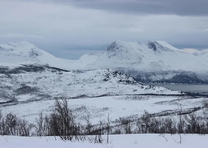 100 Years Old Norwegian Log House In Feriehus Tromsø