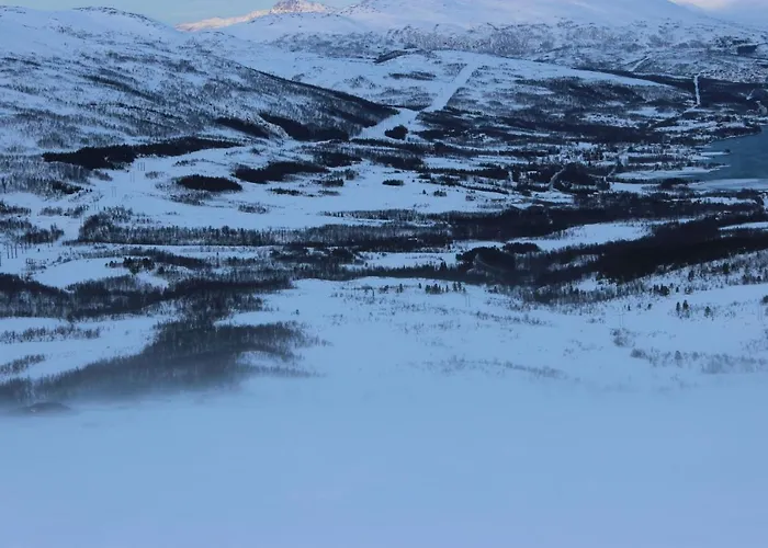 100 Years Old Norwegian Log House In *