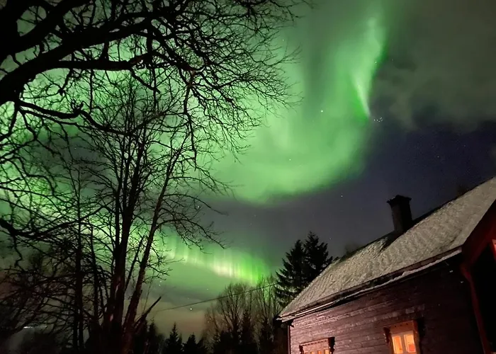 100 Years Old Norwegian Log House In