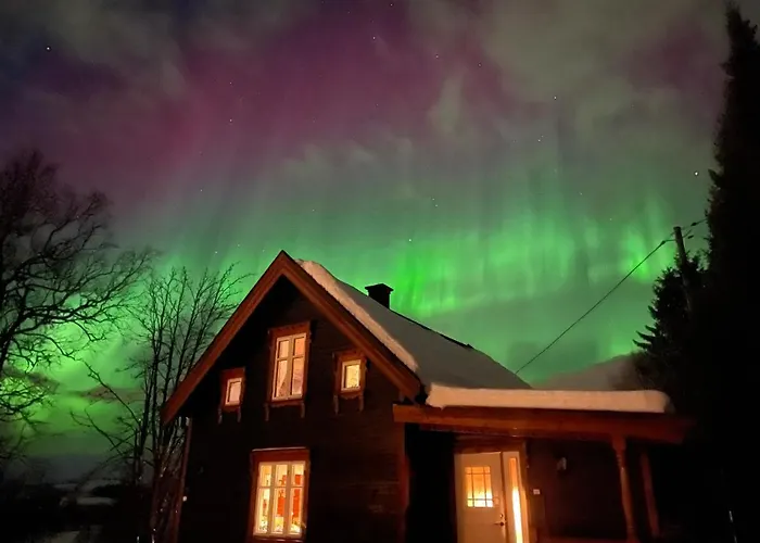 100 Years Old Norwegian Log House In Feriehus Tromsø