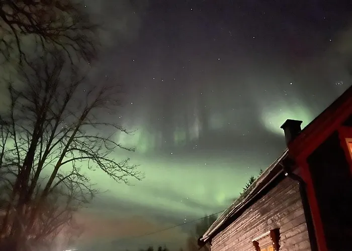 Feriehus 100 Years Old Norwegian Log House In *